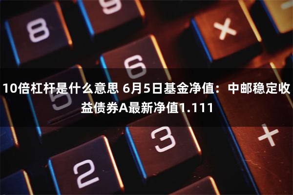 10倍杠杆是什么意思 6月5日基金净值:中邮稳定收益债券A最新净值1.111